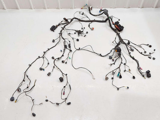 2023 Mclaren Artura Front Body Wire Wiring Harness 16MB166CP 3K KMS *NOTES*