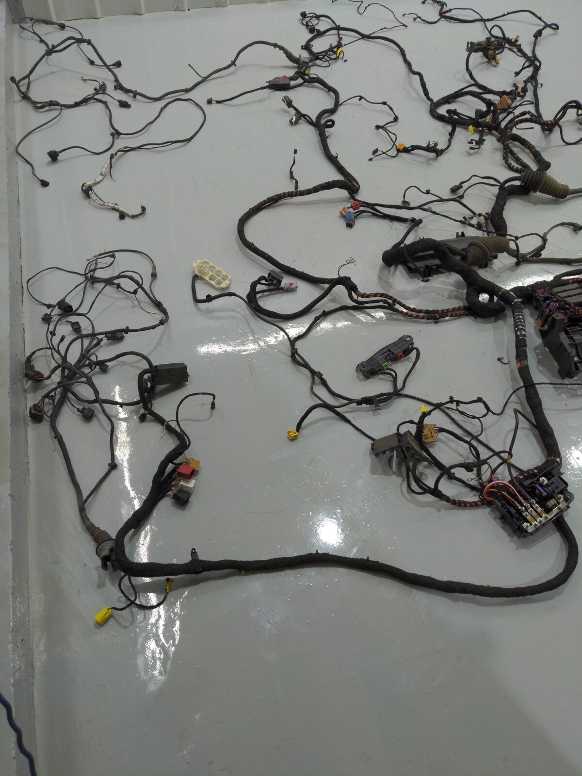 2009 Audi R8 Body Wire Wiring Harness *Missing Connectors/pigtails* 4811705