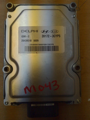 M043 KIA SEDONA 2016 391723cyp5 Fuel Injection Control